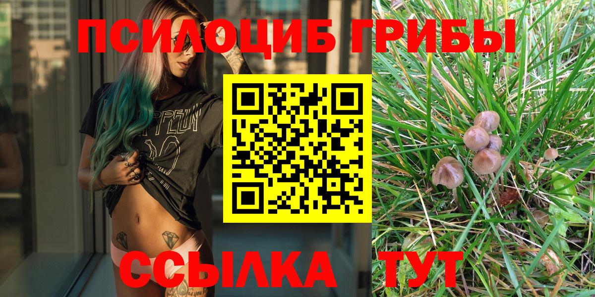 Псилоцибиновые грибы мухоморы Жигулёвск